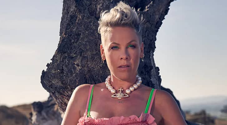 Petition demands Pink’s ouster as UNICEF ambassador amid Macklemore row