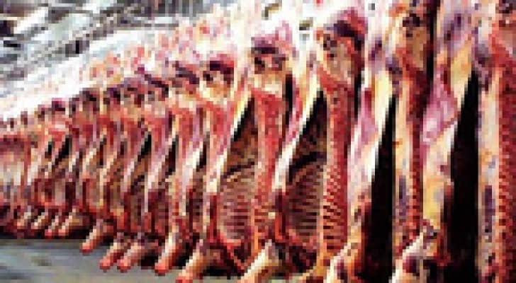 ضبط 1150 كغم لحوم فاسدة في احد مولات الزرقاء