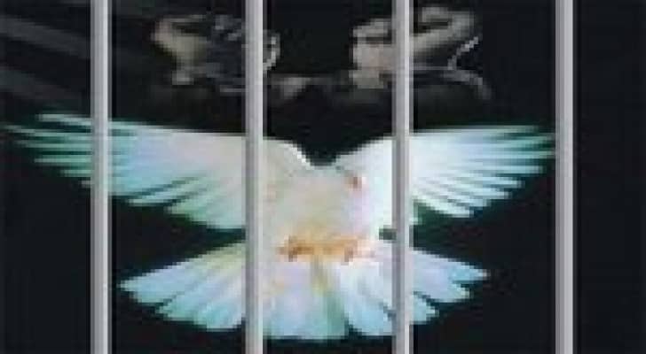 المطالبة بابراز معاناة الاسيرات في سجون الاحتلال بيوم المرأة العالمي