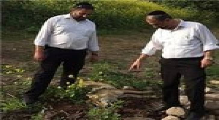 اسرائيل: ذئاب مصابة بداء الكلب دخلت من الأردن