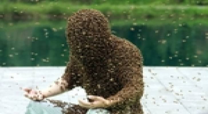 النحل يقتل عاملا فلسطينيا بالنقب