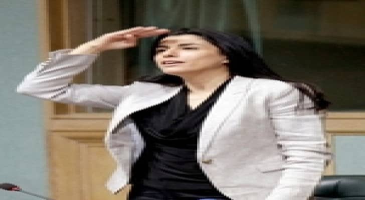 الفايز تدعو المواطنين لمتابعة الاعلام غير الرسمي