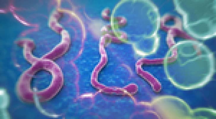 الامم المتحدة: "الايبولا" تحصد حياة 3879 شخص لغاية الأن