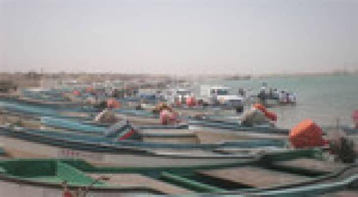 المنخفض الجوي ينعش صيد الأسماك بغــزة