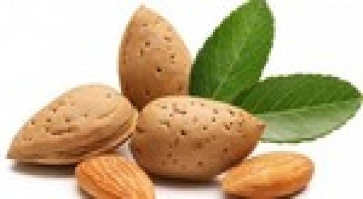 تناول اللوز يوميا يخفض الوزن والكوليسترول