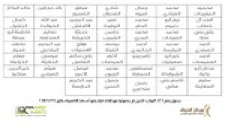 أسماء النواب الذين صوتوا مع قرار رفع أسعار الكهرباء .. تفاصيل