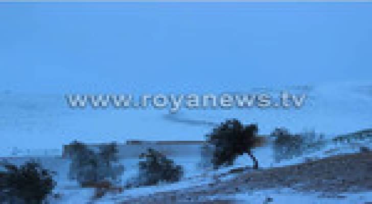 زراعة وادي الاردن تدعو المزارعين لأخذ الحيطة والحذر