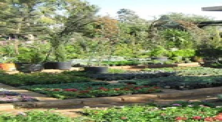 ضبط اعتداء كبير على خط للمياه وسط  عمان