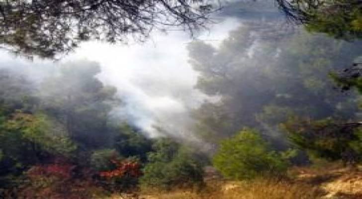 السيطرة على حريقين بالطفيلة