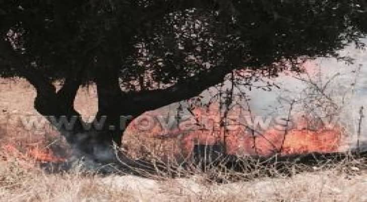 بالصور: اخماد حريق في ارض حرشية بمنطقة المقابلين