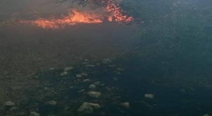 مقتل 23 حوثيا و6 من المقاومة الشعبية في معارك عنيفة بمدينة تعز اليمنية