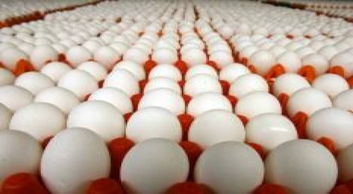 تراجع اسعار الدجاج اللاحم وبيض المائدة خلال الربع الاول من العام الحالي