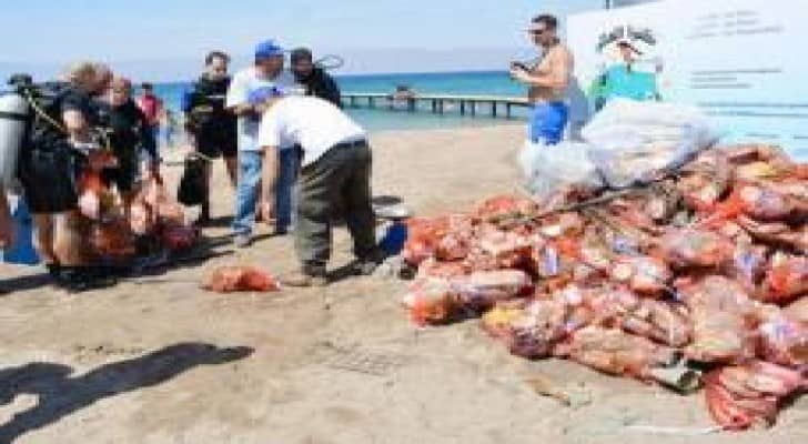7 آلاف طن نفايات ألقيت في شواطئ العقبة العام الماضي