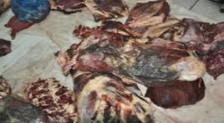 اتلاف ستة اطنان من اللحوم الفاسدة في الزرقاء