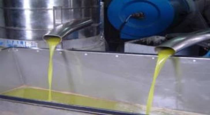 إغلاق إحدى معاصـر الزيتون وإتلاف مواد غذائية في مادبا