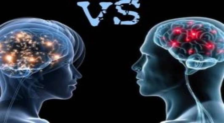 الدماغ يمتلك "صفات ذكورية" أو "صفات أنثوية"