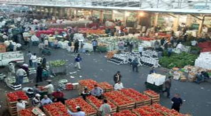 العدوان يدعوا المواطنين لعدم التهافت على المنتجات البستانية