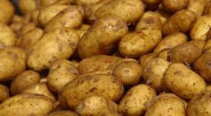 " عفن " في البطاطا المصرية يمنع استيرادها للأردن