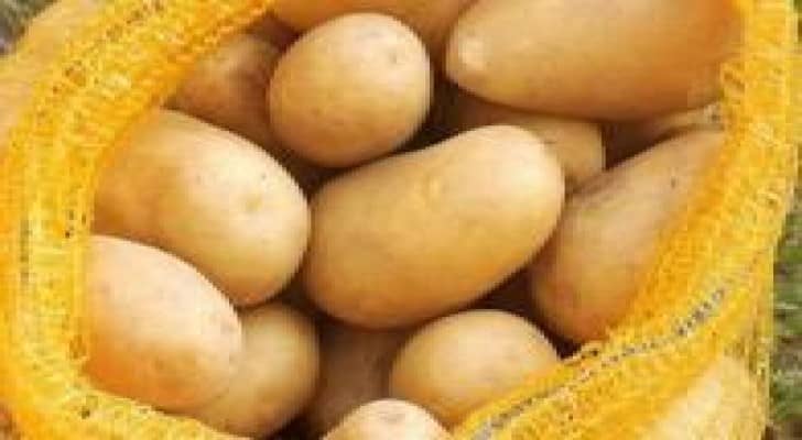 الزراعة : تعليق استيراد البطاطا من مصر ليس جديدا