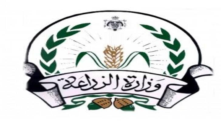 الزراعة :الامطار والثلوج تبشر بموسم زراعي جيد