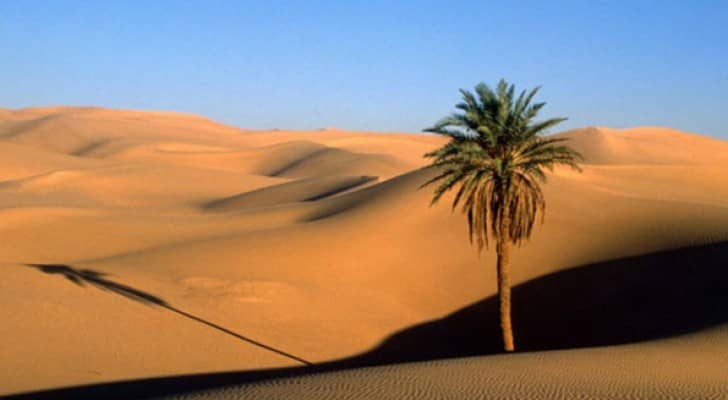السعودية: اكتشاف أقدم عظم بشري عمره 90 ألف سنة