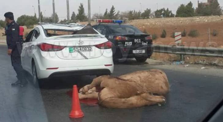 الصورة من الحادث