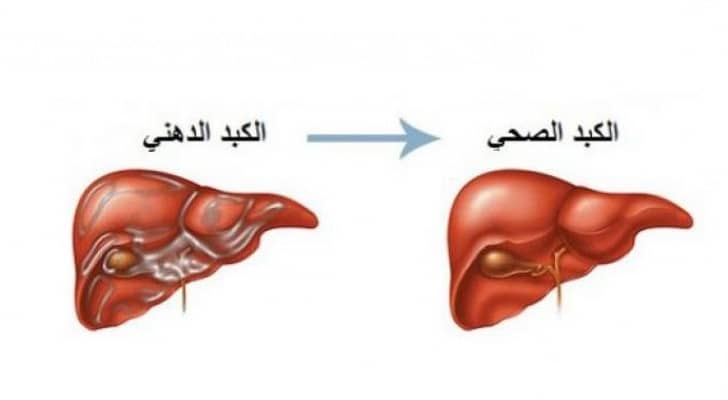الكبد - ارشيفية