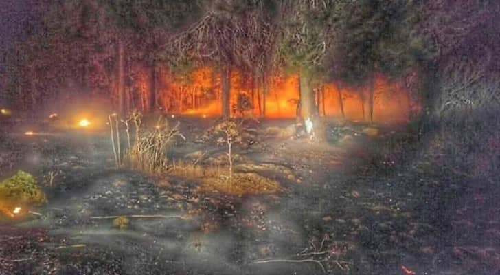 الاحتلال يطلب مساعدة اليونان وايطاليا في إخماد الحرائق