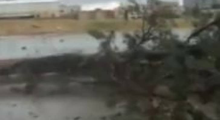 جانب من تكسير الاشجار بالمقابلين