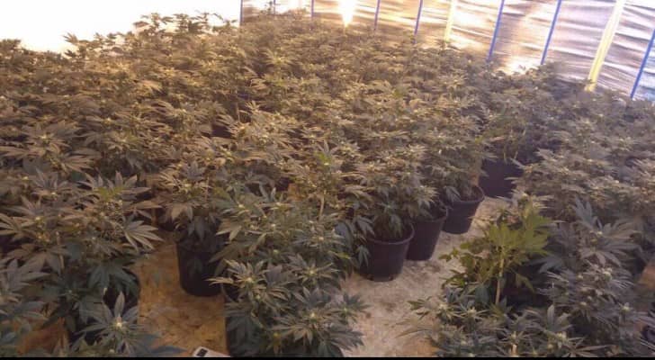 جانب من المضبوطات 