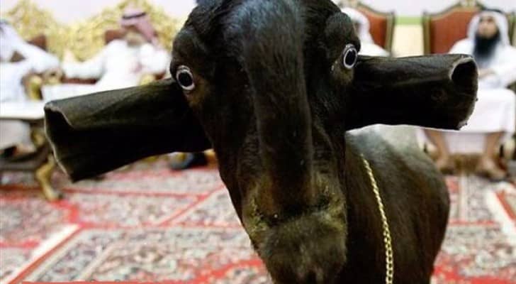 تعبيرية 