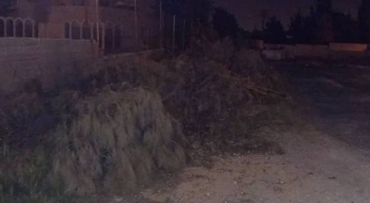 صور نشرها ناشطون