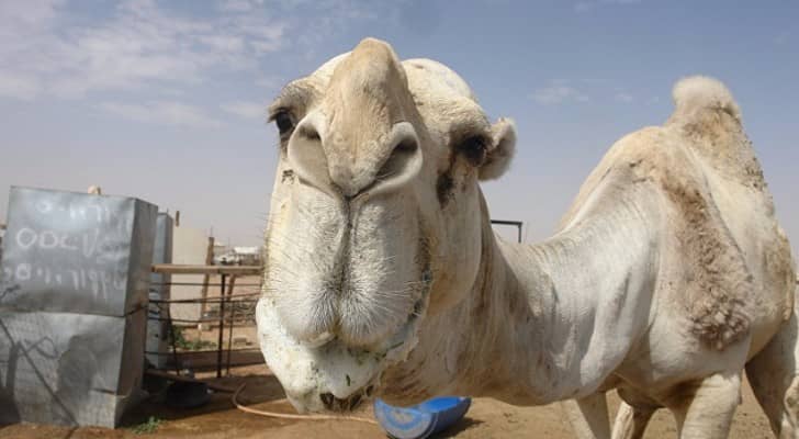 تعبيرية