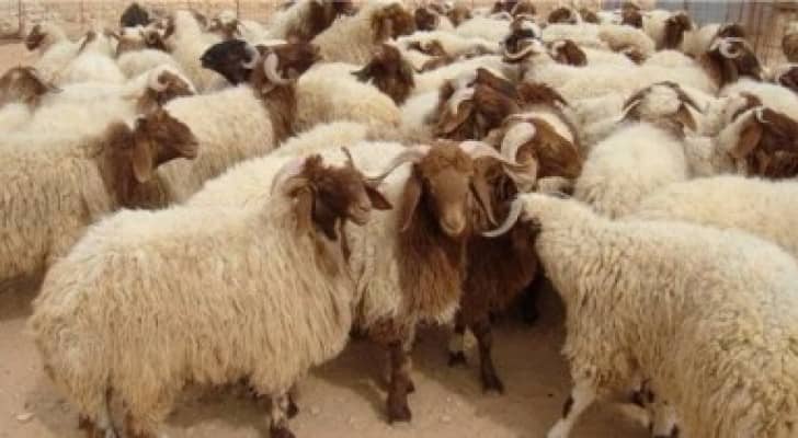 تعبيرية