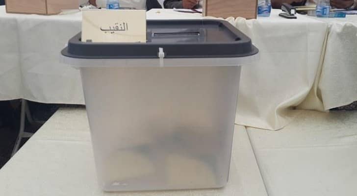 جانب من الانتخابات 