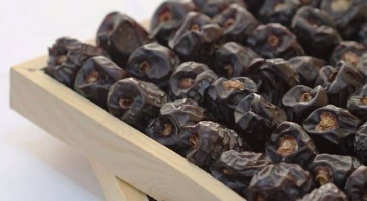 الأردن يستورد حوالي 4 آلاف طن تمور سنويا