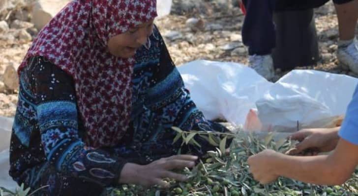 الصورة أرشيفية 