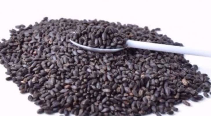 بذور الريحان
