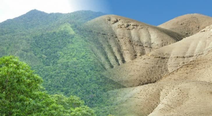 تعبيرية