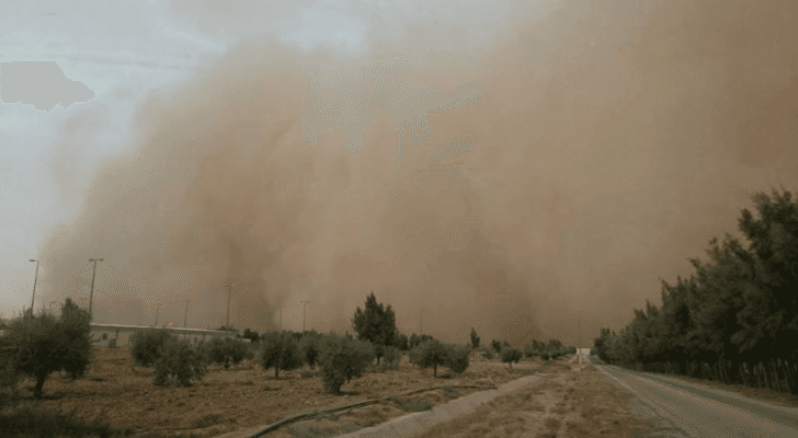 ارشيفية