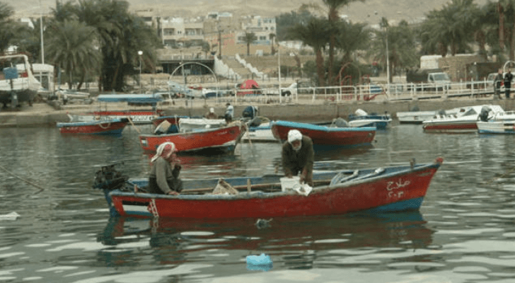 ارشيفية