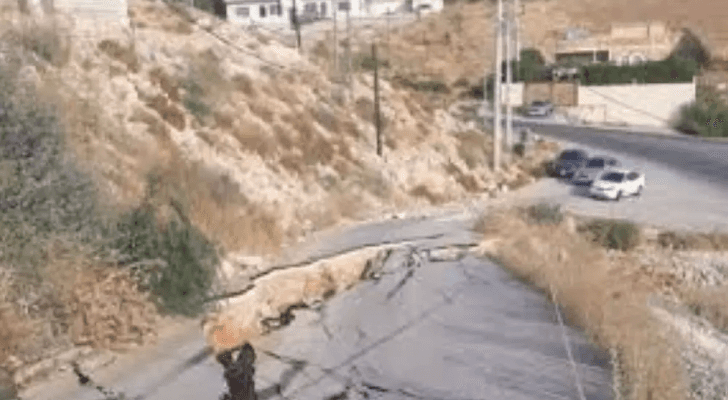 أرشيفية