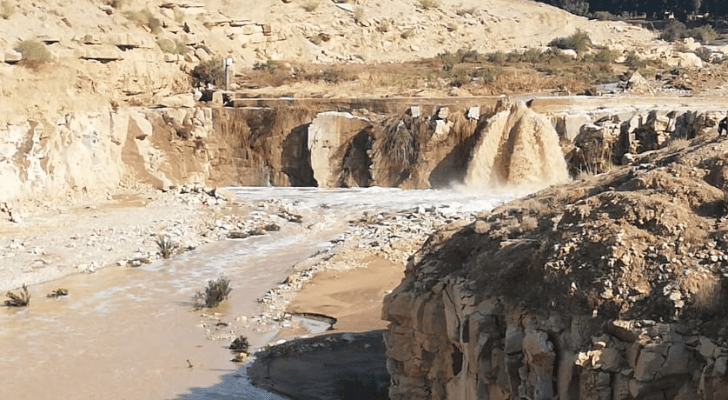 ارشيفية