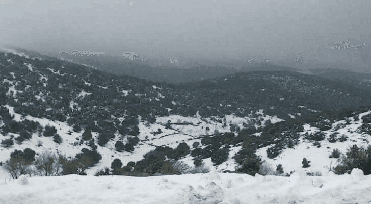 ارشيفية