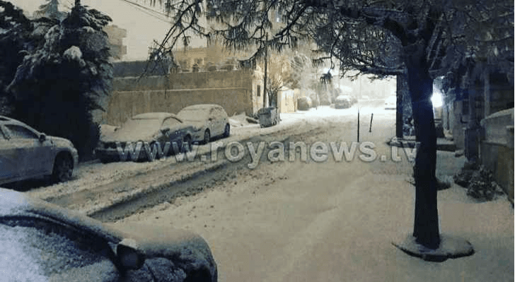 ارشيفية