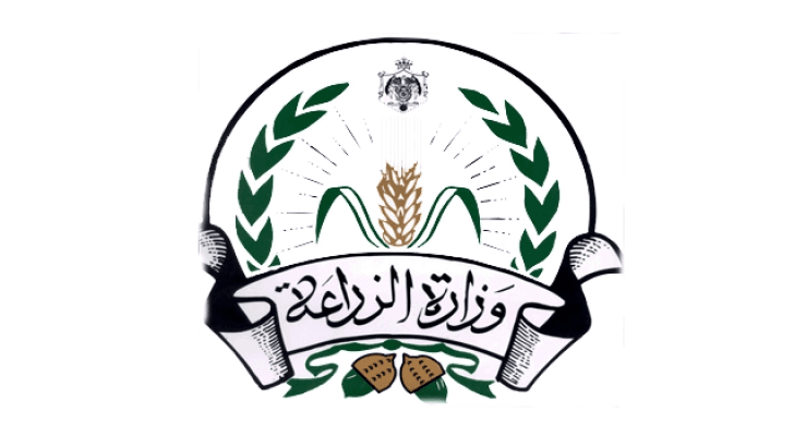 ارشيفية
