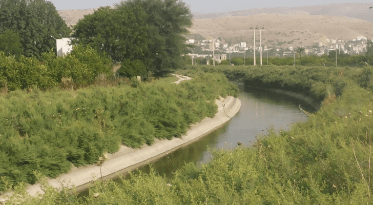 ارشيفية