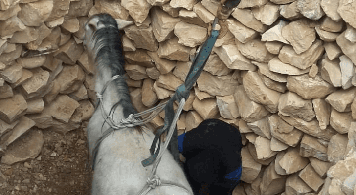 خلال عملية الانقاذ