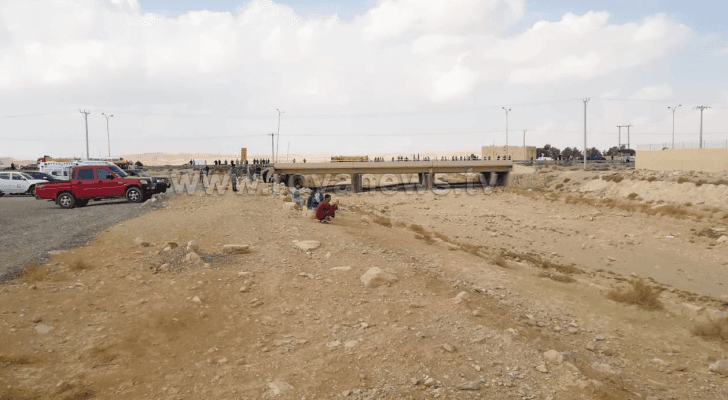ارشيفية