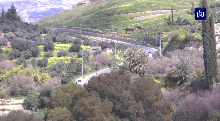 صورة من الفيديو